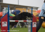 Tess
Nederlands Kampioenschap 28 juni 2008